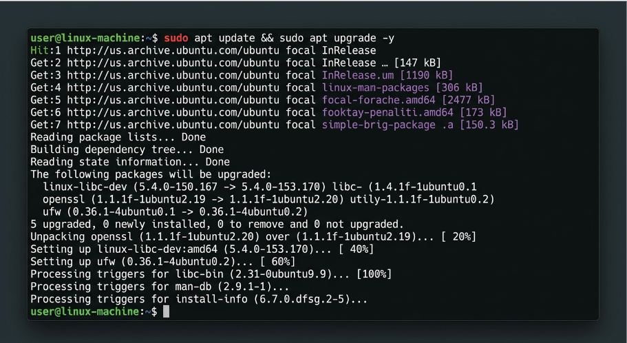 A terminal window displaying the successful output of a `sudo apt update && sudo apt upgrade -y` command, showing system packages being updated.