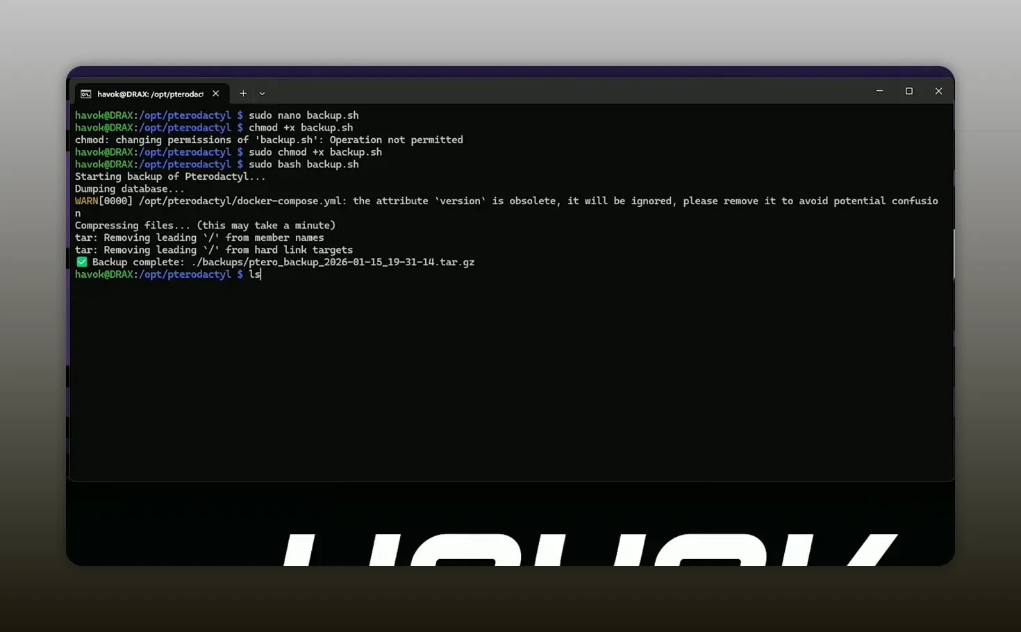 Terminal output showing backup script creating timestamped backup files